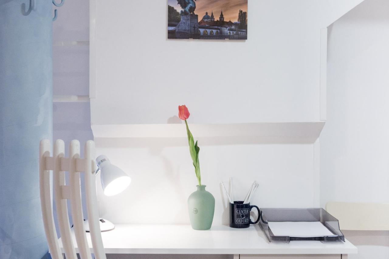 Stylish Apartment With Castle View & Free Parking Lublaň Exteriér fotografie